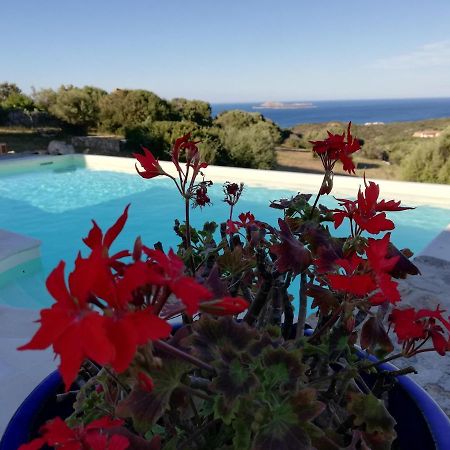 La Sima Villa Con Piscina Vista Mare San Pantaleo Sardegna 외부 사진